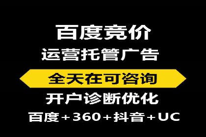 行业翘楚的sem代运营机构：成功案例解析